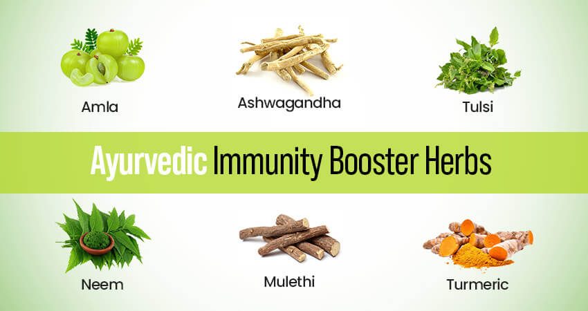 Immunity Herbs